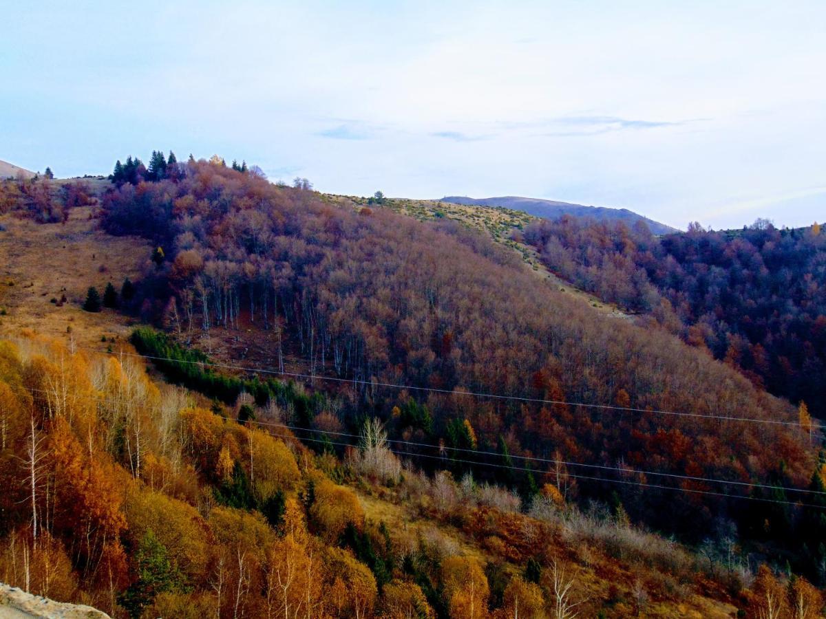 Sunny Days Apartman Kopaonik Exterior photo
